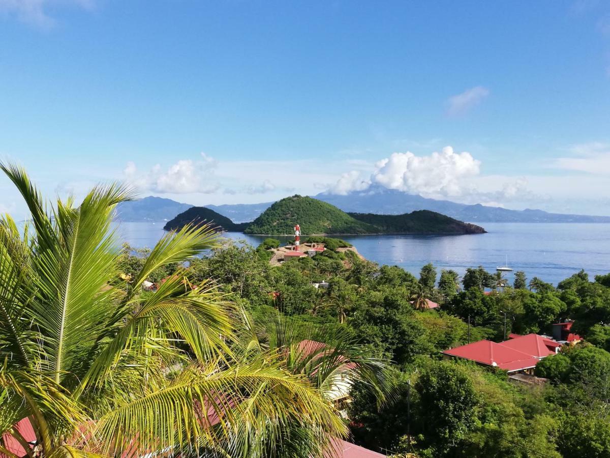 Bungalow Anse Figuier Terre-De-Haut Εξωτερικό φωτογραφία