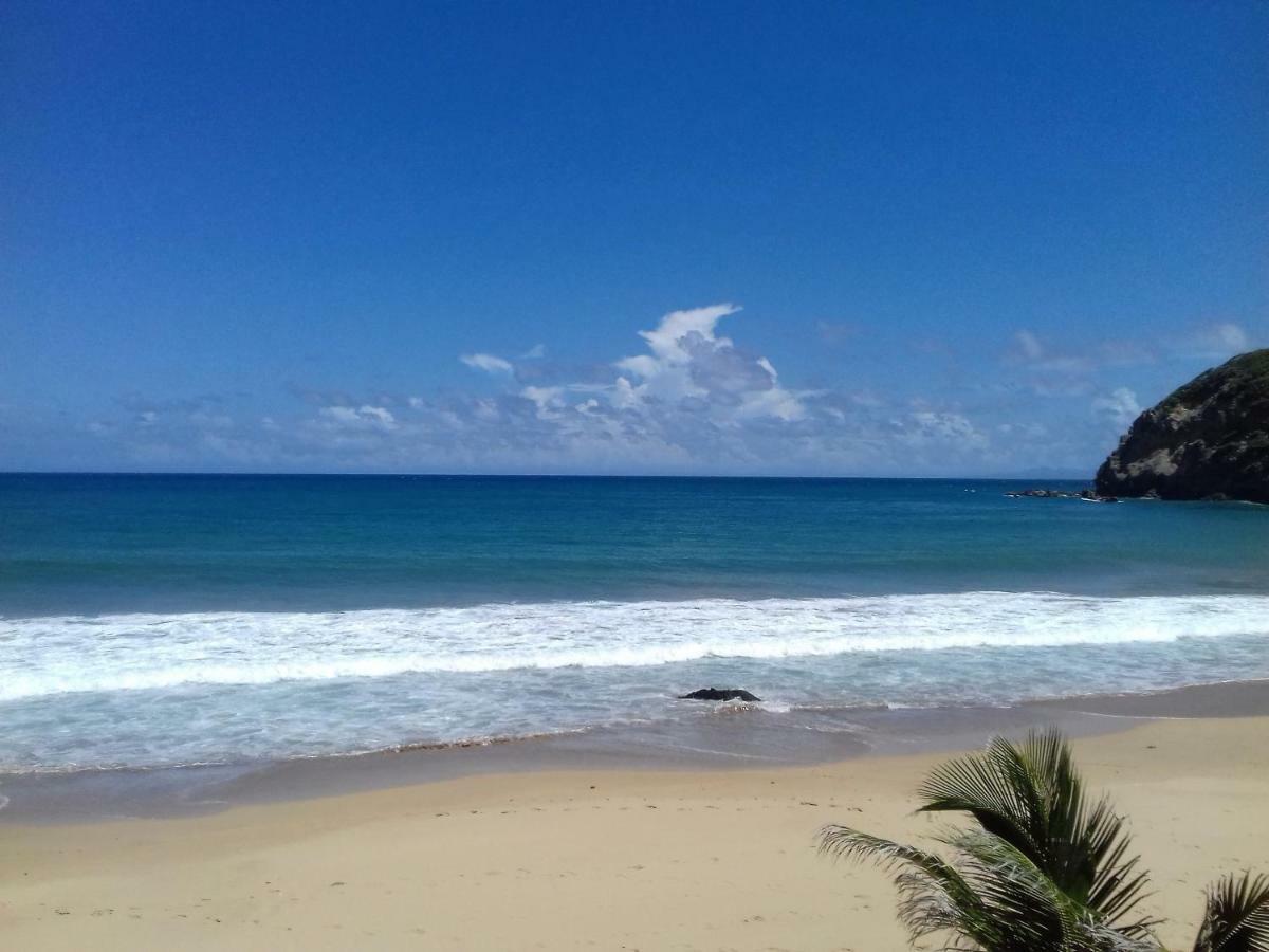 Bungalow Anse Figuier Terre-De-Haut Εξωτερικό φωτογραφία
